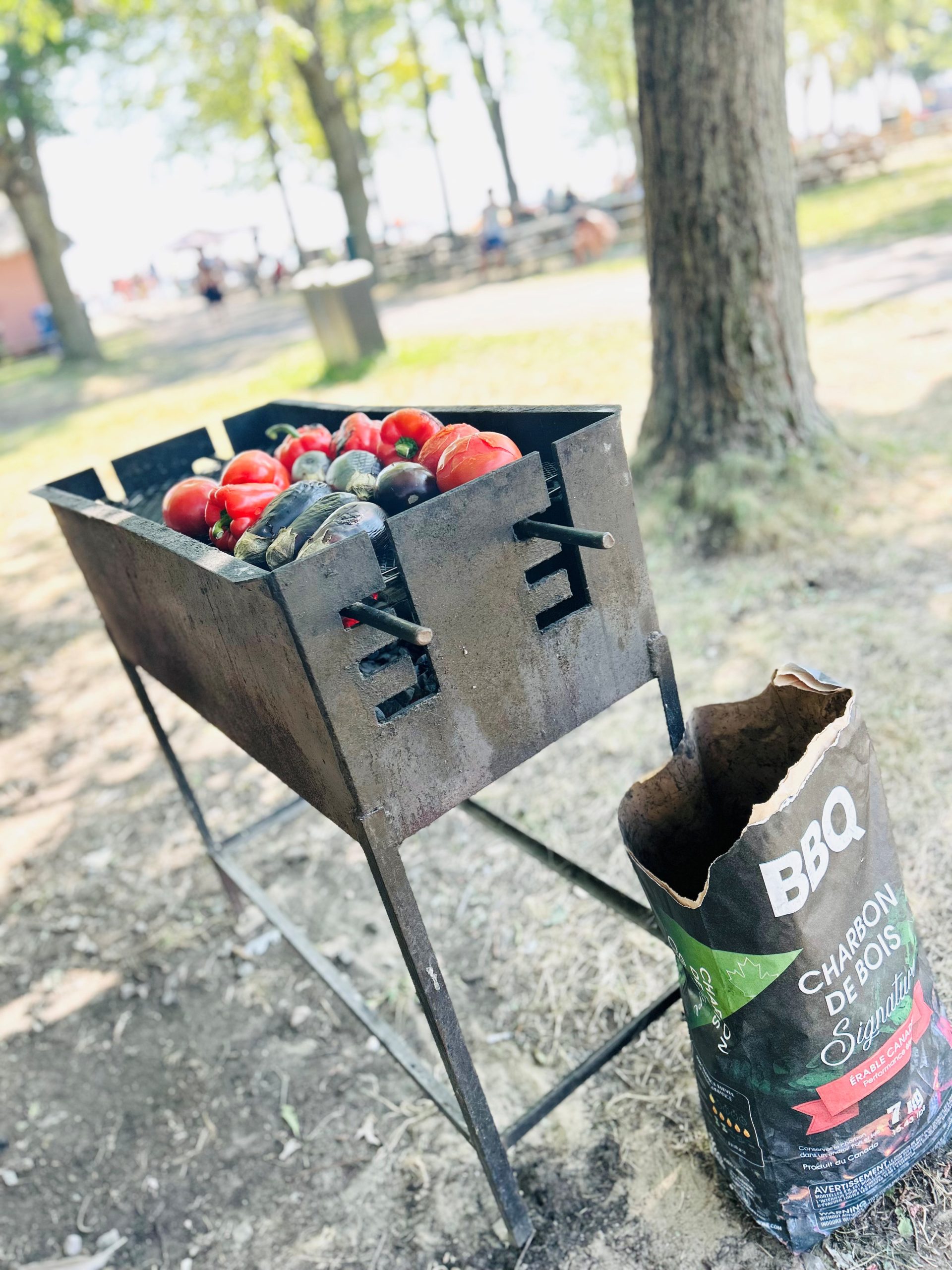 BBQ